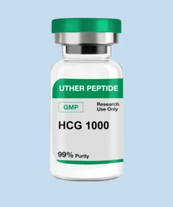 HCG 1000iu GMP (10 Vials / Kit)