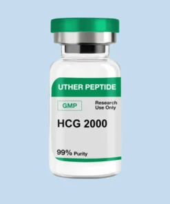 HCG 2000IU GMP (10 Vials / Kit)
