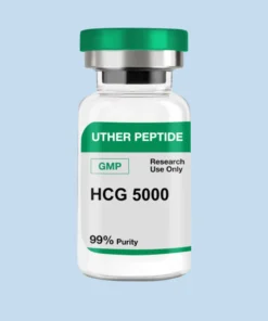 HCG 5000 GMP (10 Vials / Kit)