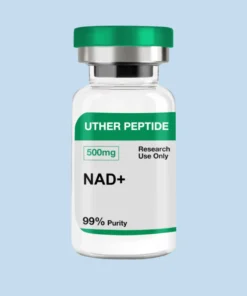 Nad+ 500mg (10 Vials / Kit)